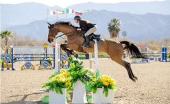 Screenshot 2025-05-10 023547